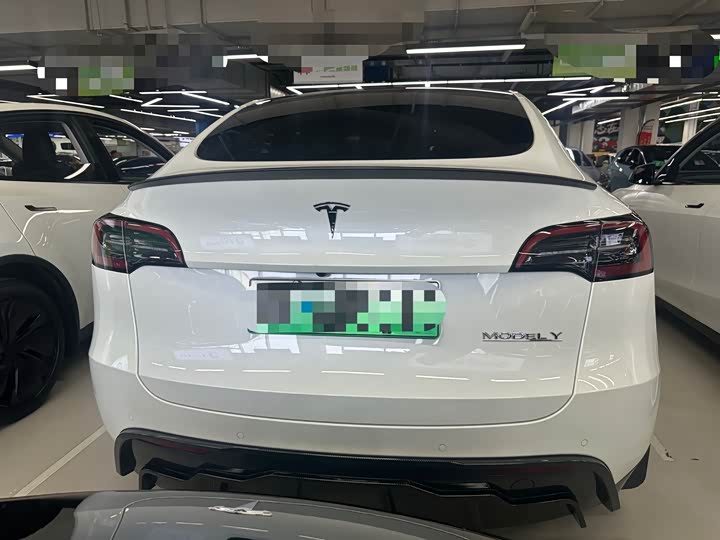 Tesla Model Y 2022 2022款 Performance高性能全轮驱动版