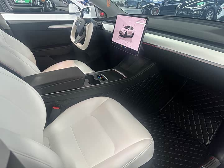Tesla Model Y 2022 2022款 Performance高性能全轮驱动版