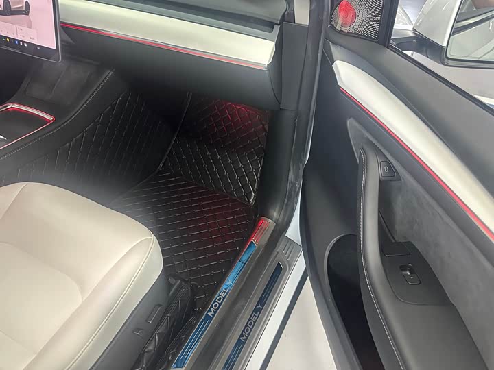 Tesla Model Y 2022 2022款 Performance高性能全轮驱动版