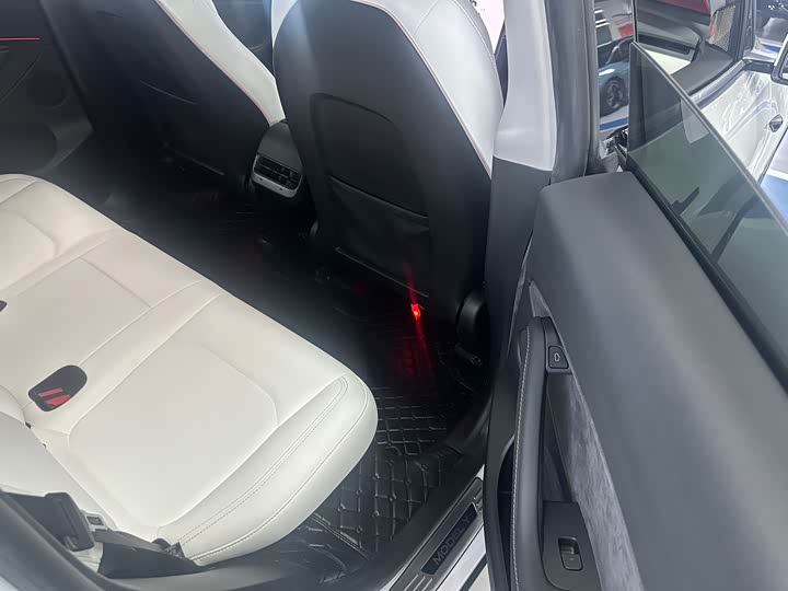 Tesla Model Y 2022 2022款 Performance高性能全轮驱动版