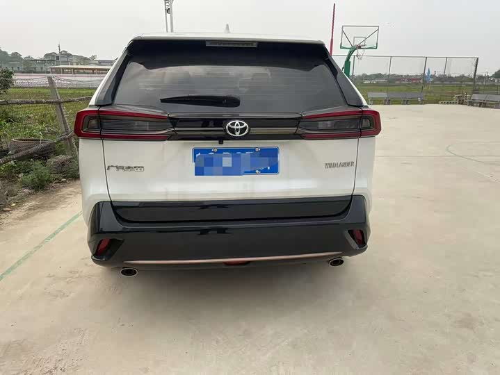 Фото 5 - Toyota Wildlander