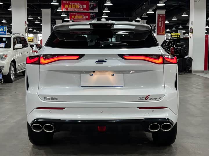 Changan Oshan Z6 2023 2023款 蓝鲸 2.0T 自动智远型