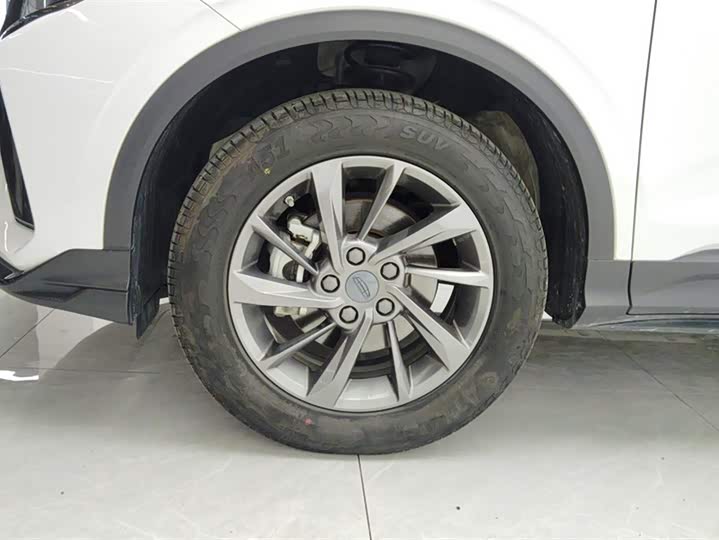 Geely Coolray 2024 2024款 1.5T DCT 龙腾
