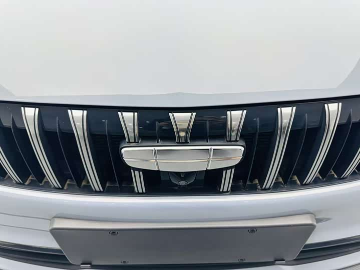 Фото 6 - Geely Binrui