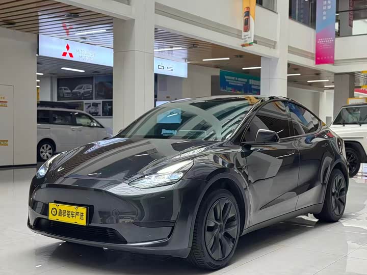 Tesla Model Y 2024 2024款 后轮驱动版