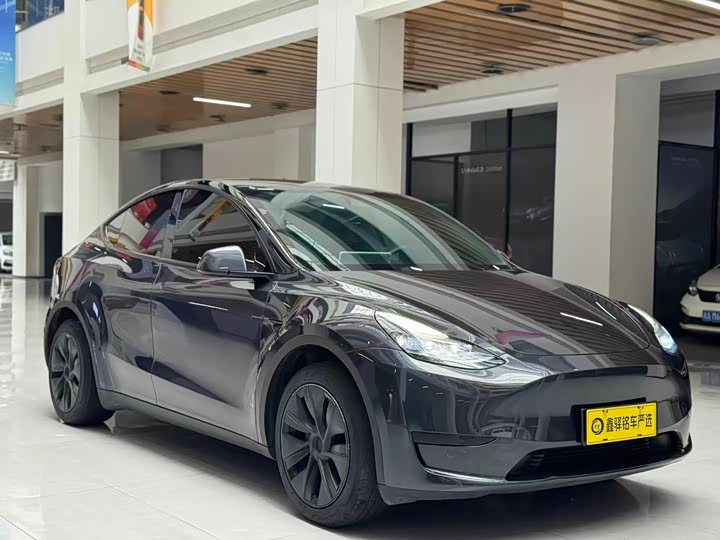 Tesla Model Y 2024 2024款 后轮驱动版