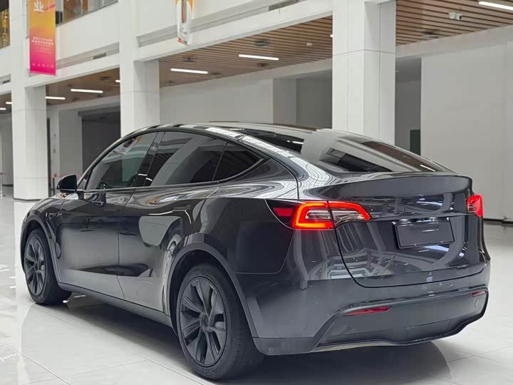 Tesla Model Y 2024 2024款 后轮驱动版