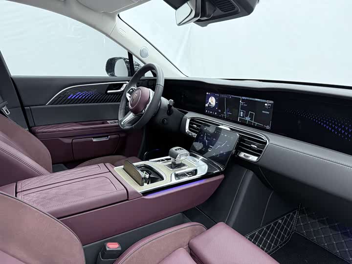 Hongqi E-HS9 2022 2022款 690km 旗享版 六座