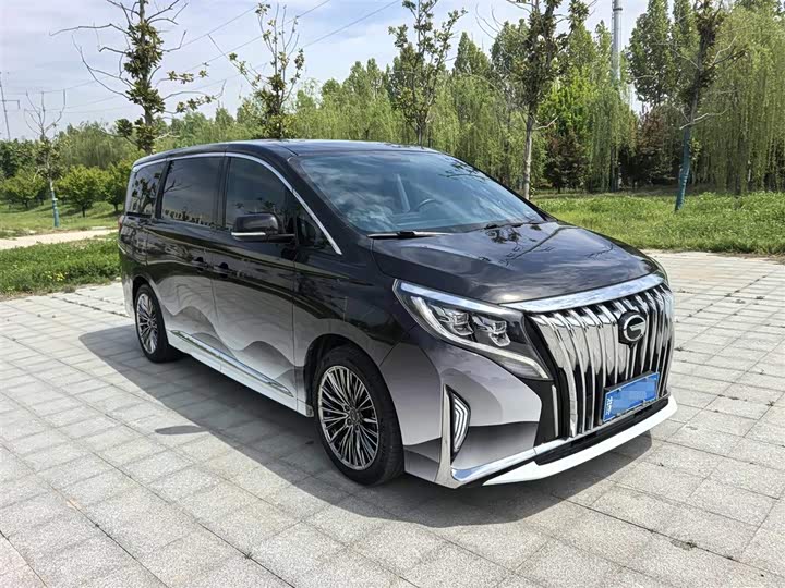 GAC Trumpchi M8 2021 2021款 领秀系列 390T 尊贵版