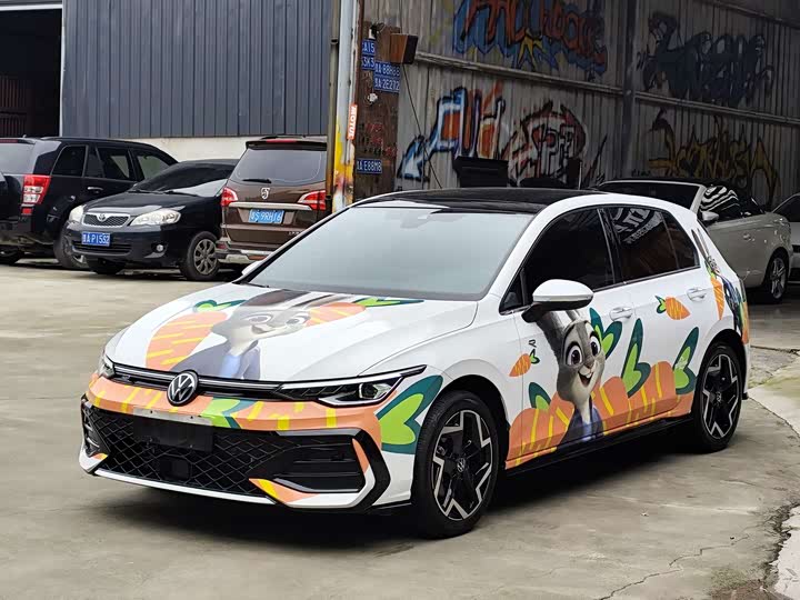 Volkswagen Golf 2025 2025款 300TSI R-Line