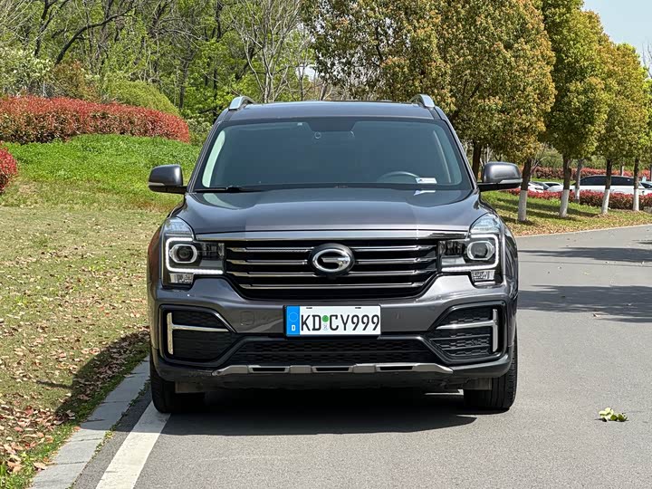 GAC Trumpchi GS8 2020 2020款 390T 两驱豪华版（七座）