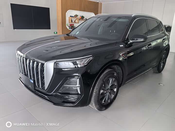 Zdjęcie 1 - Hongqi HS5