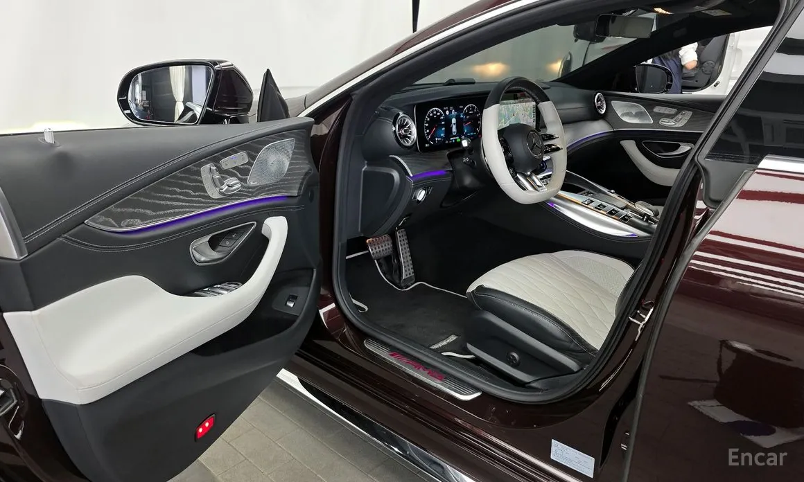 Mercedes-Benz AMG GT 2014 4Door 43 4MATIC+ Special Edition