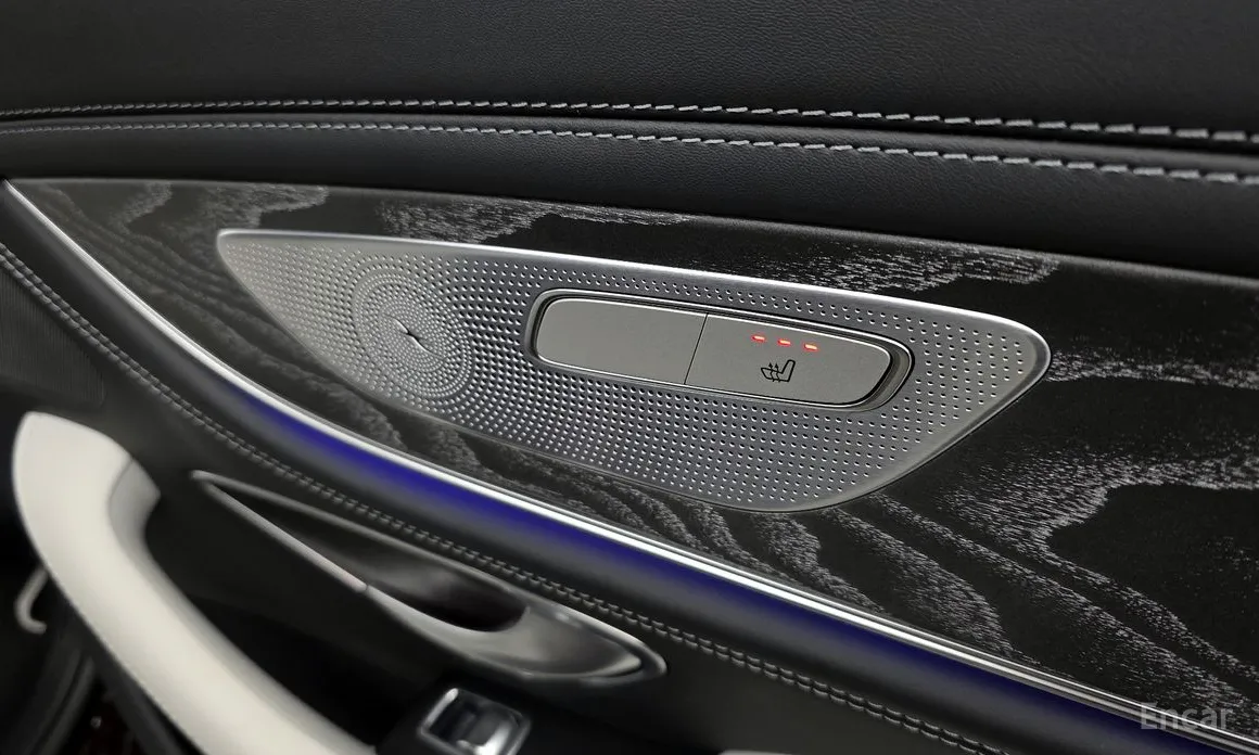 Mercedes-Benz AMG GT 2014 4Door 43 4MATIC+ Special Edition
