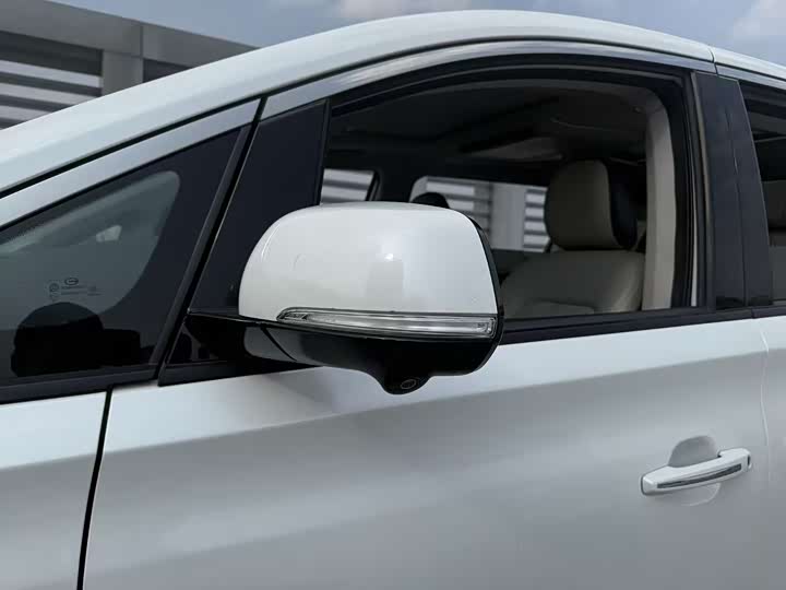 GAC Trumpchi M8 2021 2021款 领秀系列 390T 至尊版