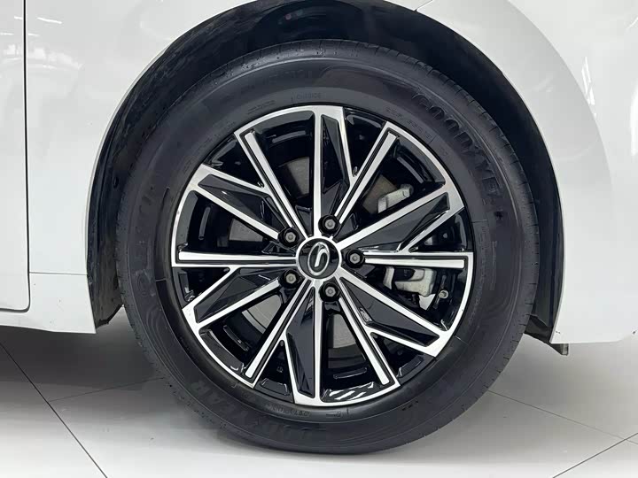 GAC Trumpchi E8 2024 2024款 150km PRO
