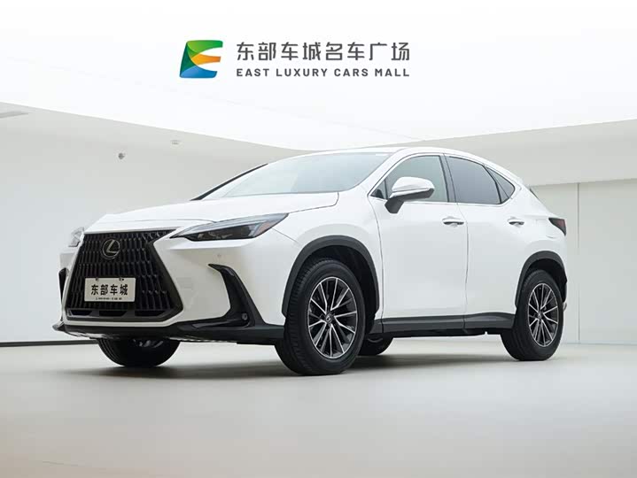 Lexus NX 2024 2024款 260 前驱 创悦版