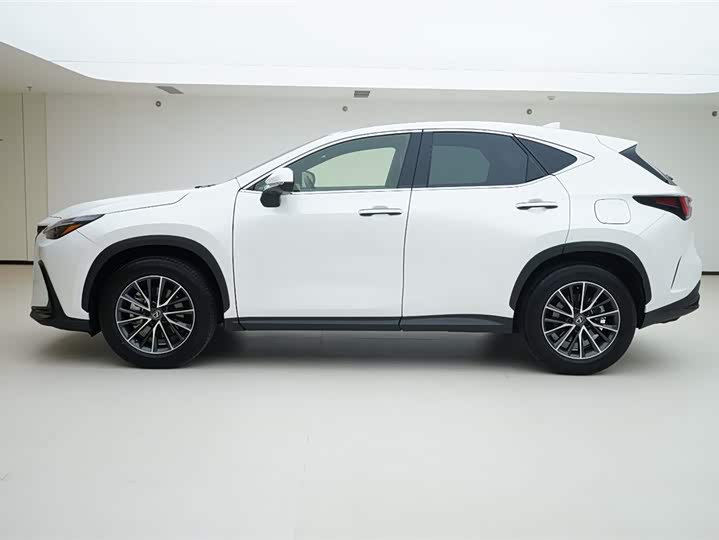 Lexus NX 2024 2024款 260 前驱 创悦版