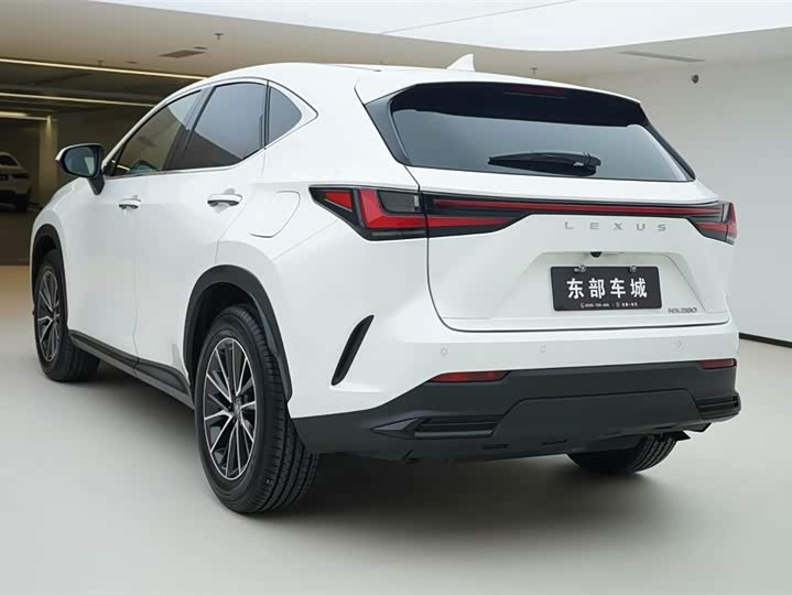 Lexus NX 2024 2024款 260 前驱 创悦版
