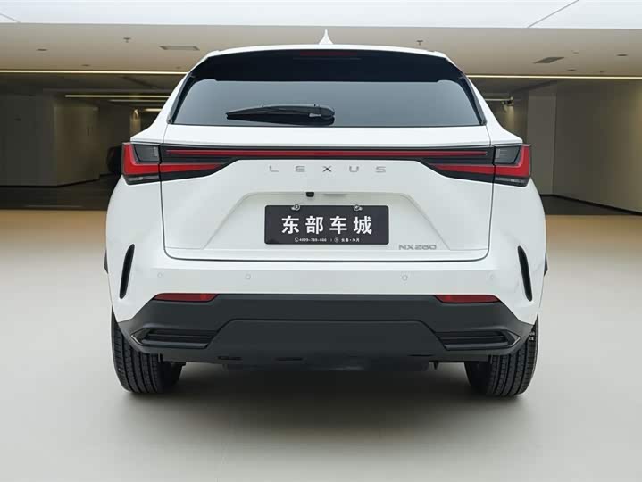 Lexus NX 2024 2024款 260 前驱 创悦版