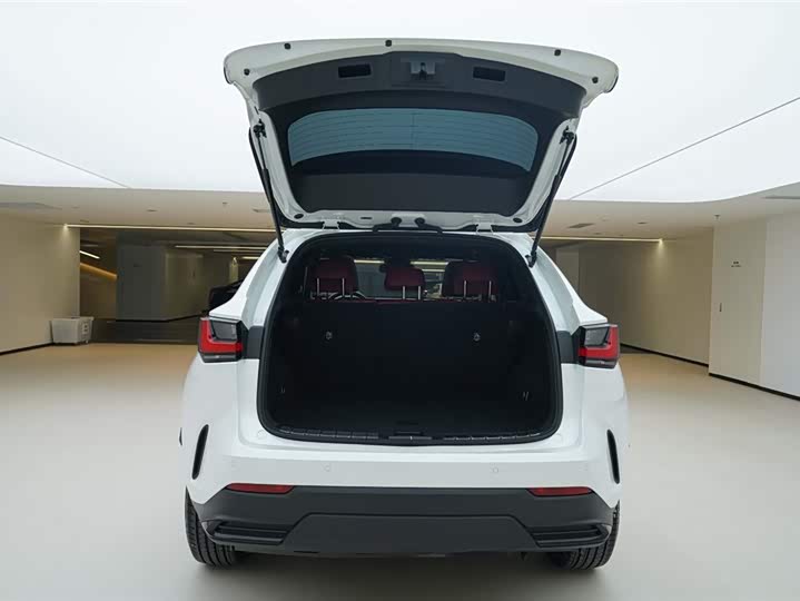 Lexus NX 2024 2024款 260 前驱 创悦版