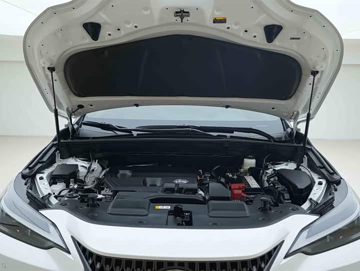 Lexus NX 2024 2024款 260 前驱 创悦版