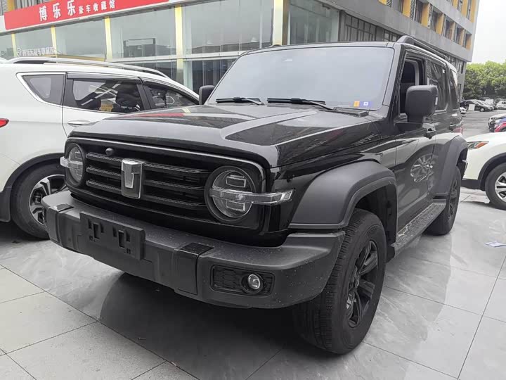 2025 Tank 300