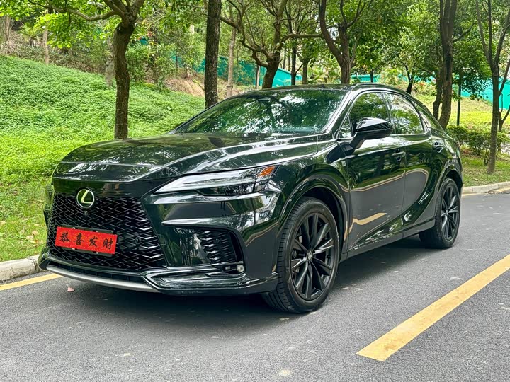 Photo 1 - Lexus RX