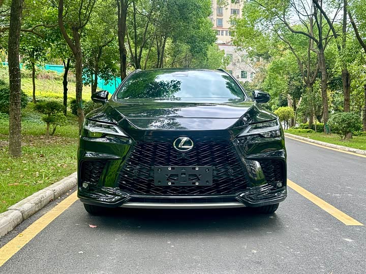 Photo 2 - Lexus RX