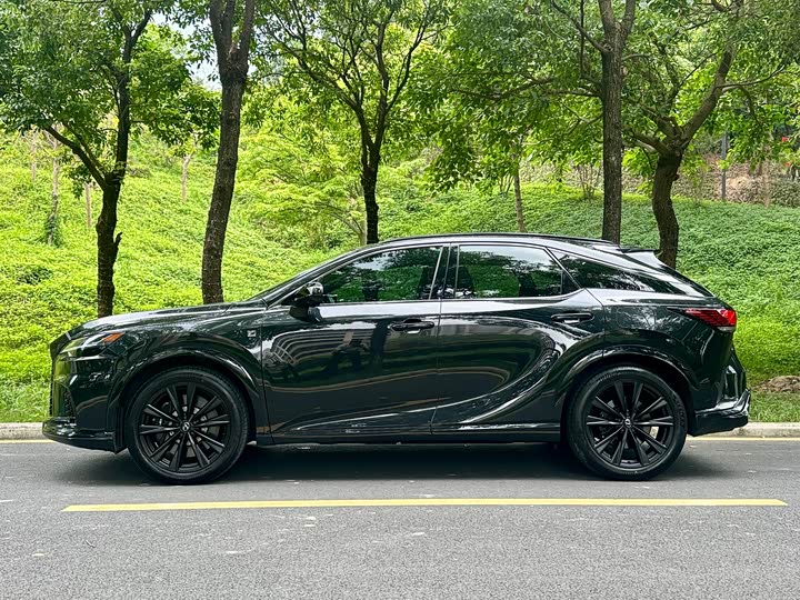 Photo 4 - Lexus RX