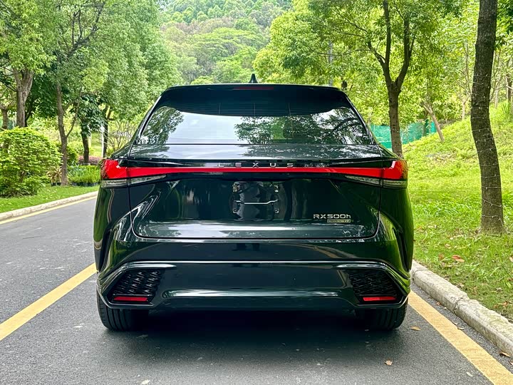 Photo 6 - Lexus RX