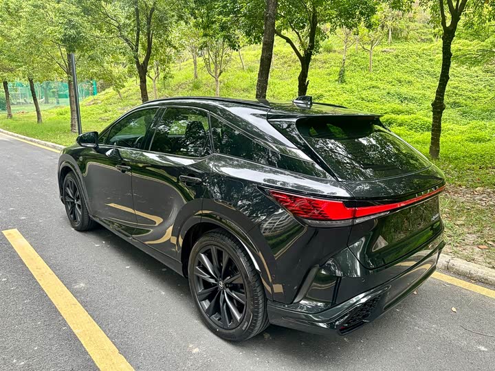 Photo 9 - Lexus RX