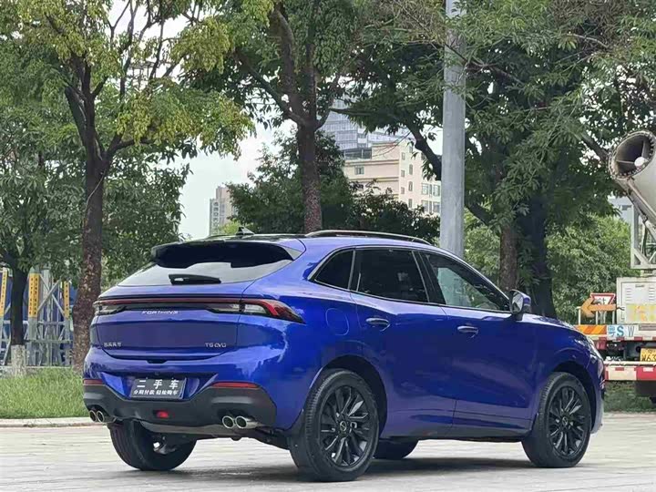 Фото 7 - Dongfeng Forthing T5 EVO