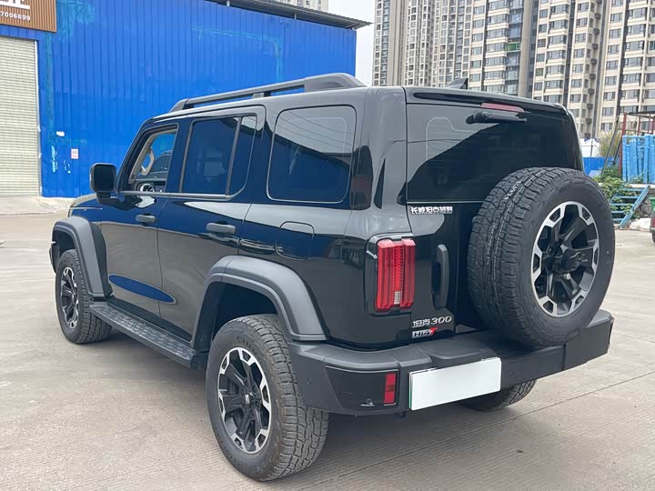 Tank 300 Hybrid 2025 2025款 Hi4-T 37.1kWh