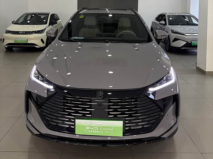 Фото 2 - BYD Tang Hybrid/EV