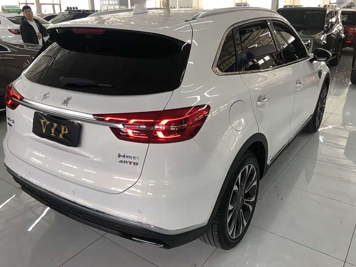Hongqi HS5 2019 2019款 2.0T 智联旗享四驱版