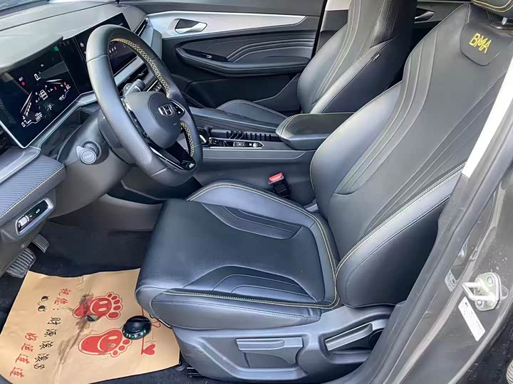 2024 Geely Binrui