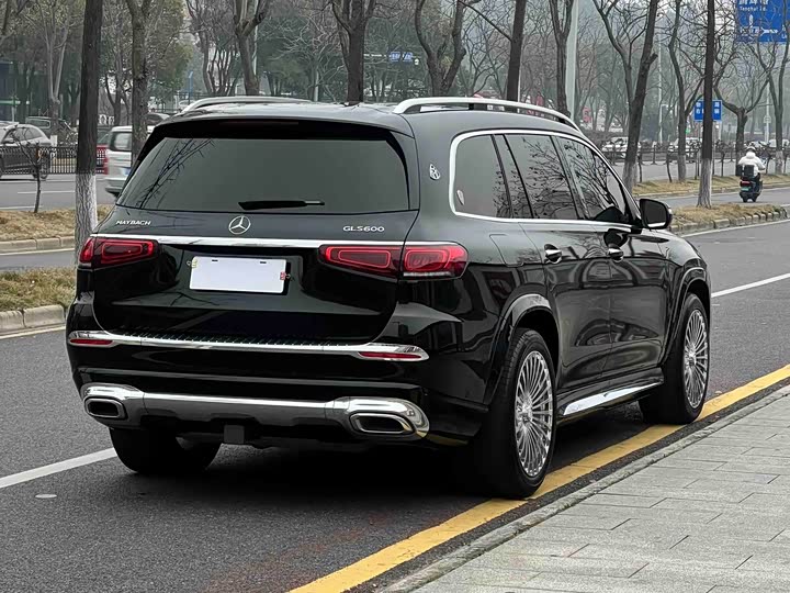 صورة 5 - Mercedes-Benz GLS-Class