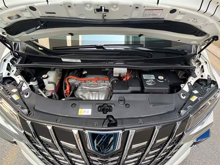 Toyota Alphard 2021 2021款 双擎 2.5L 臻享版