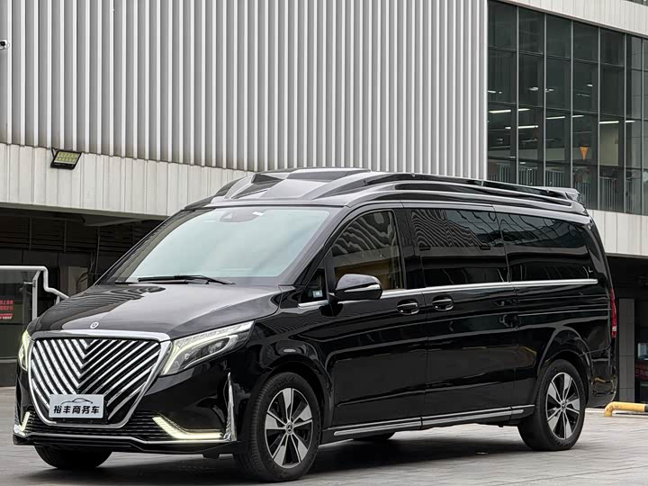 Mercedes-Benz V-Class 2022 2022款 V 260 L 长轴距豪华版