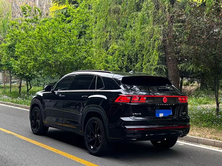Фото 8 - Volkswagen Teramont Pro