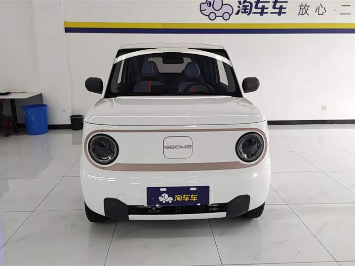 Geely Galaxy Panda Mini 2023 2023款 熊猫mini 200km 耐力熊