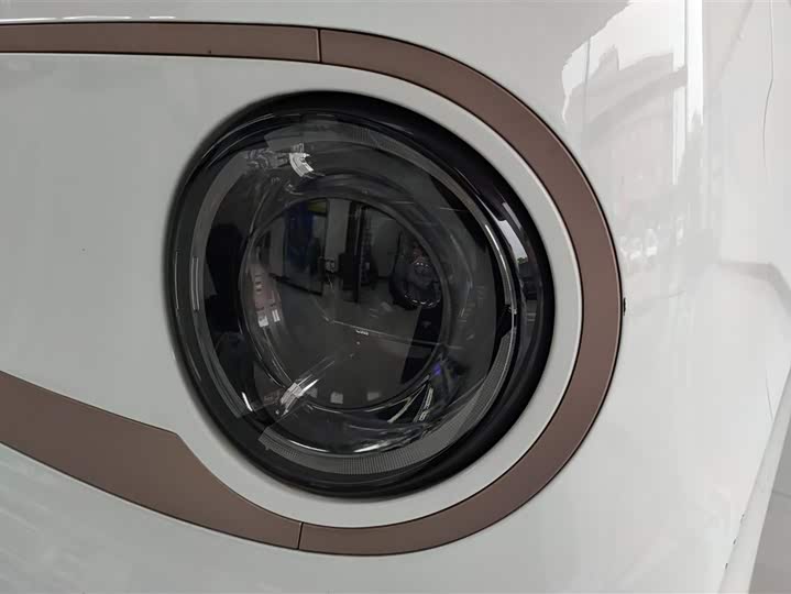 Geely Galaxy Panda Mini 2023 2023款 熊猫mini 200km 耐力熊