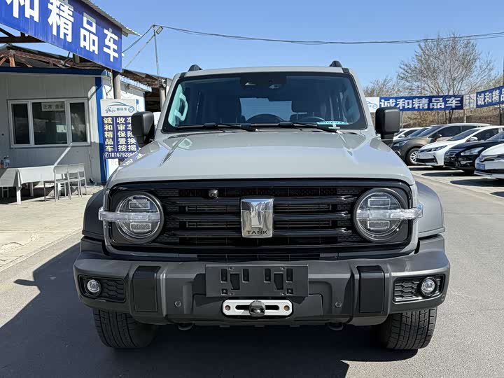 Zdjęcie 2 - Tank 300
