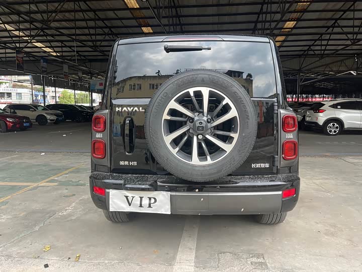 Фото 5 - Haval H9