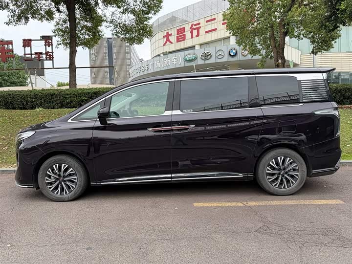 Hongqi HQ9 Hybrid 2024 2024款 2.0T 四驱豪华版