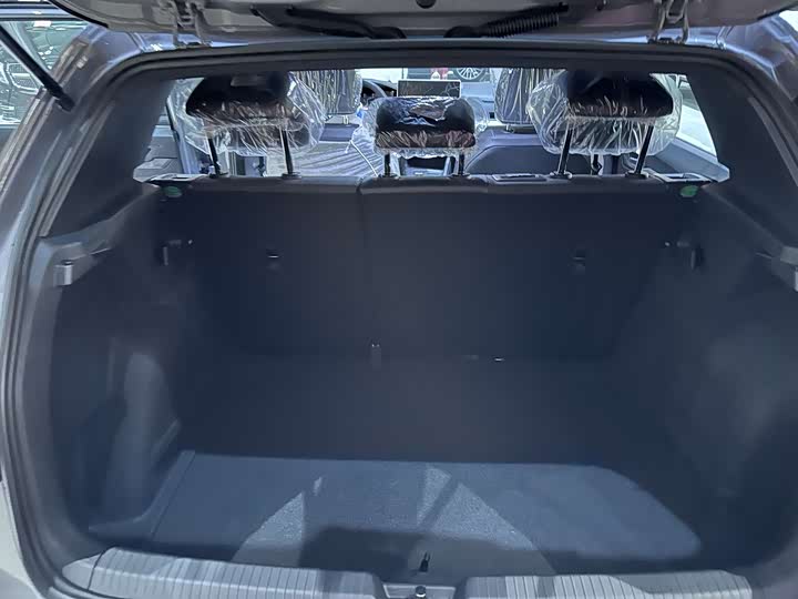 Volkswagen Golf 2025 2025款 改款 300TSI R-Line