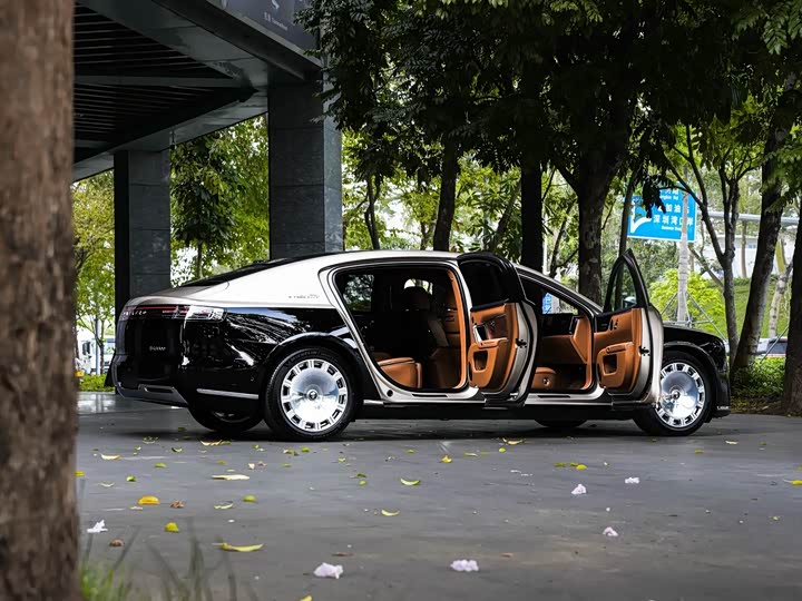 2025 Maextro S800