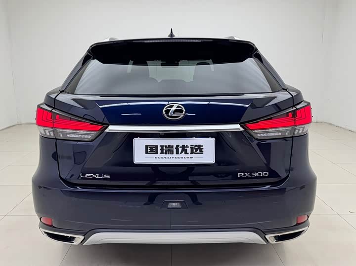 Фото 5 - Lexus RX