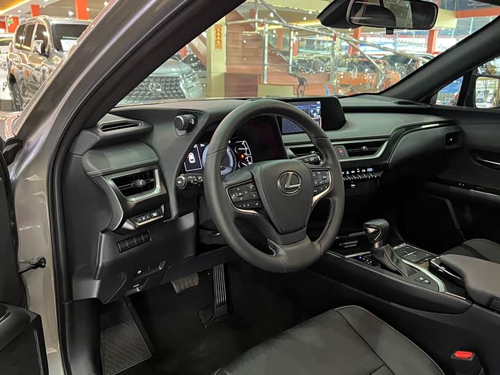Lexus UX 2020 2020款 260h 探·趣版 国V